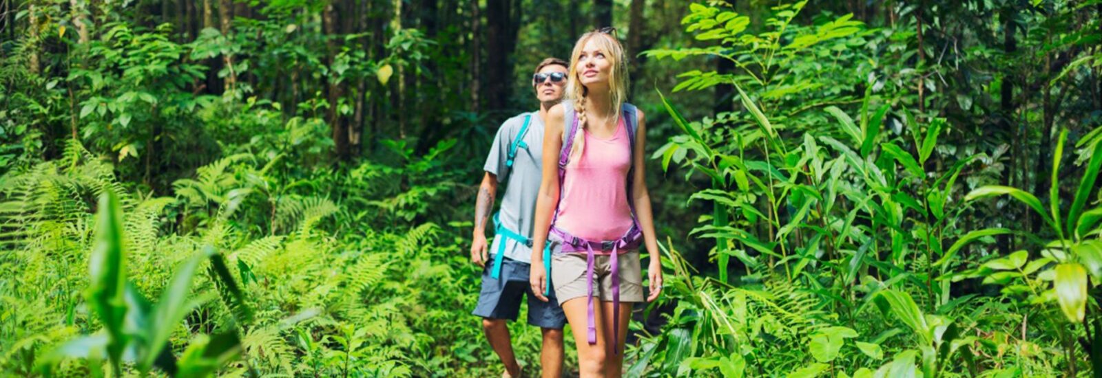 Manoa Falls Moped Tour Route