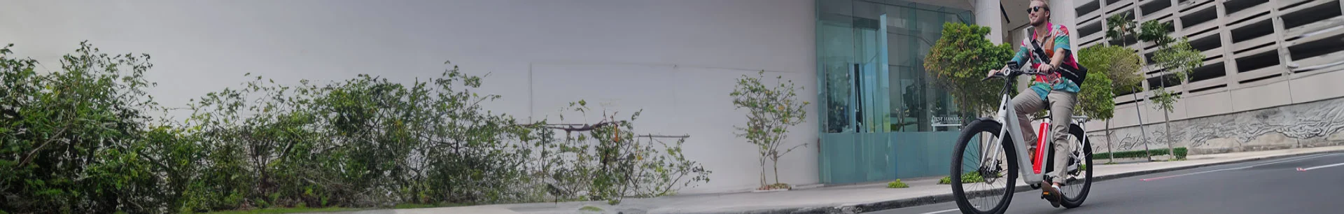 NIU BQI C3 PRO E-BIKE