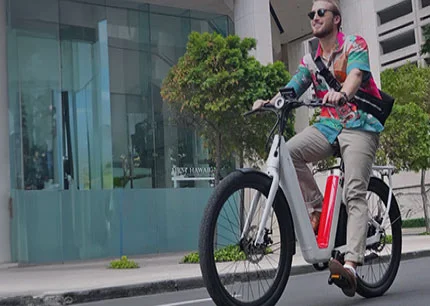 NIU BQI C3 PRO E-BIKE