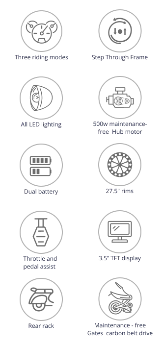 NIU BQI C3 PRO E-BIKE