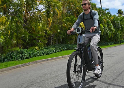 NIU EUB-01 Pro E-Bike