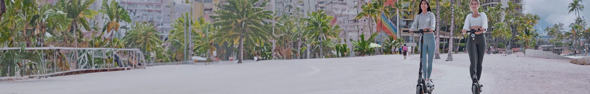 NIU KQi2 Pro Kick Scooter