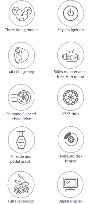 NIU EUB-01 Pro E-Bike