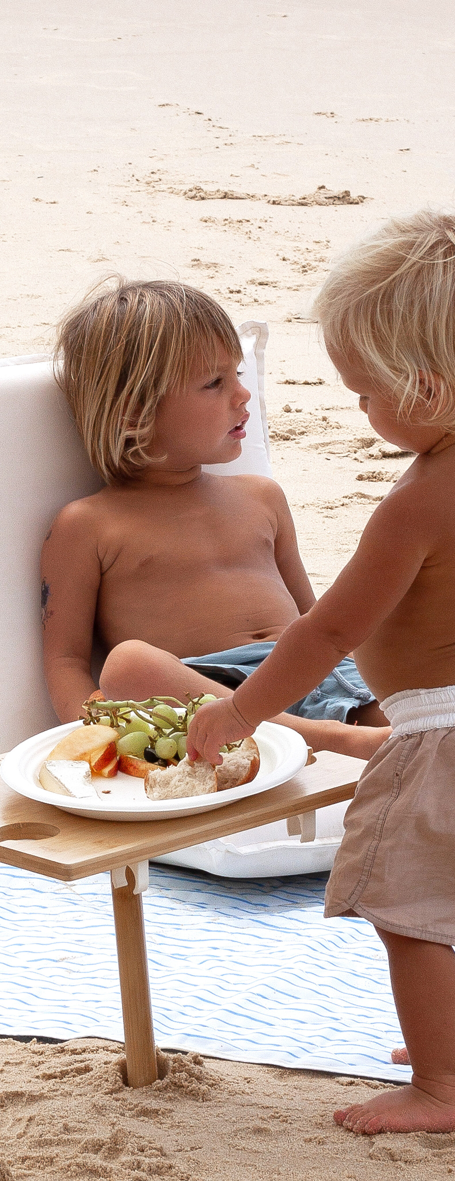 Portable Picnic Table